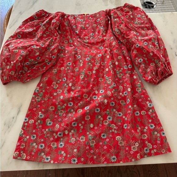 Cara Cara- Red Floral Montauk Long Puff Sleeve Mini Dress - Picture 4 of 6